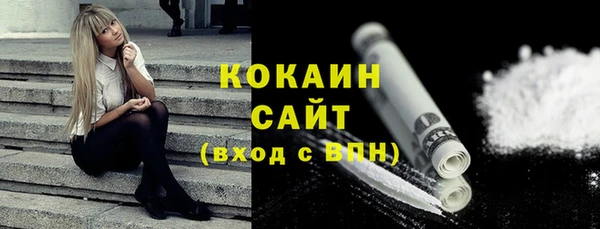 крисы Абаза