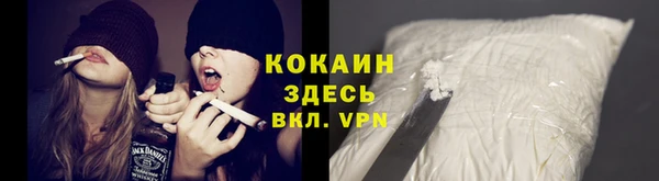 крисы Абаза