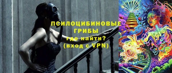 бошки Абинск
